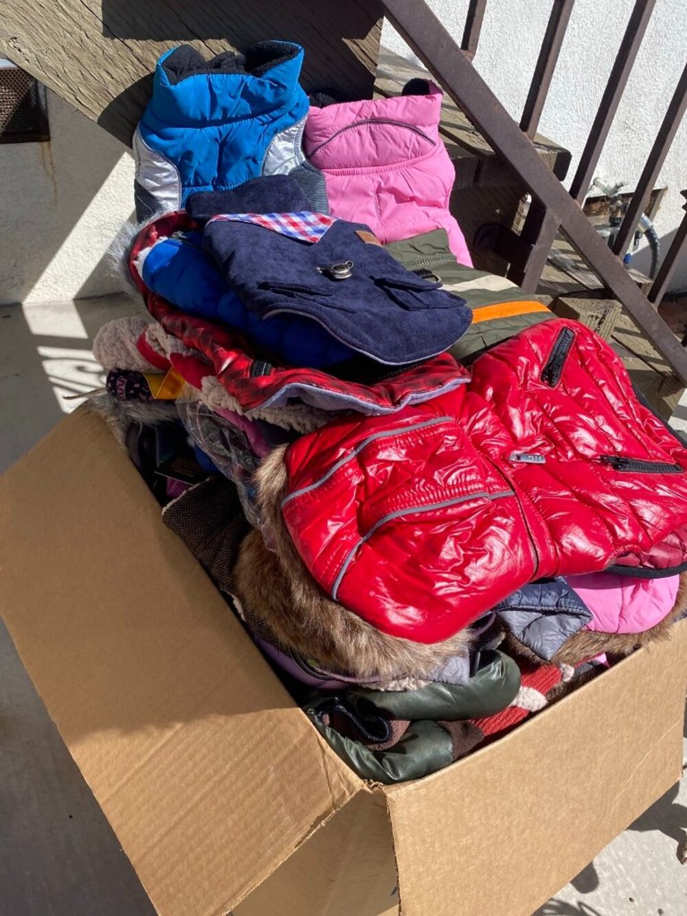 83 New Pet Coats for Sale as a Bundle